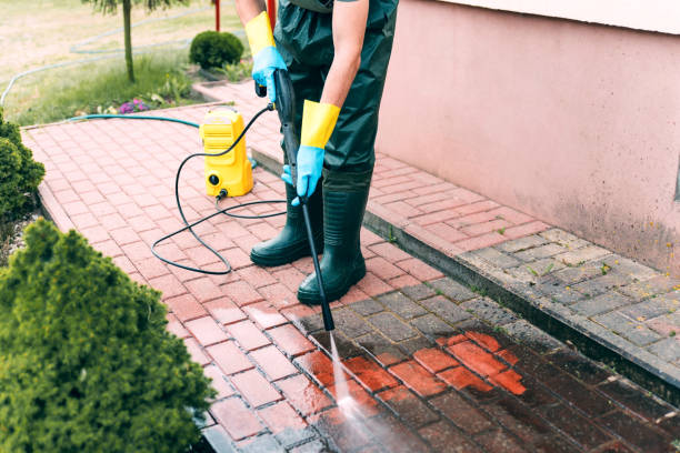 Best Residential Pressure Washing Services  in Reese, MI