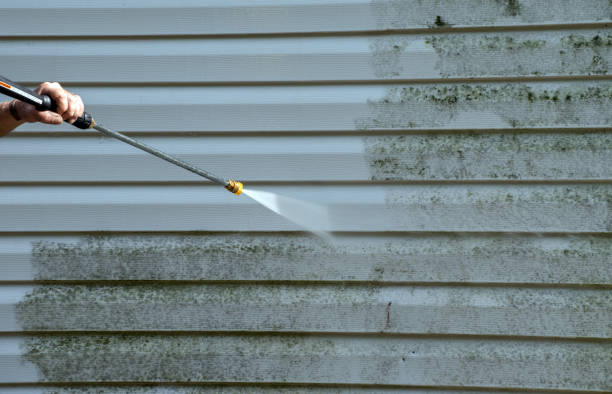 Reliable Reese, MI Pressure Washing Solutions