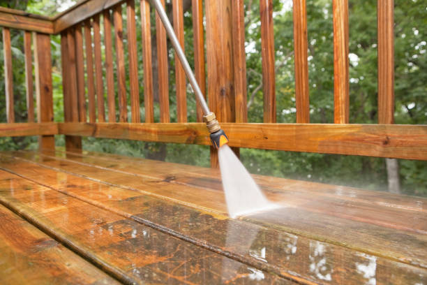 Best Concrete Pressure Washing  in Reese, MI
