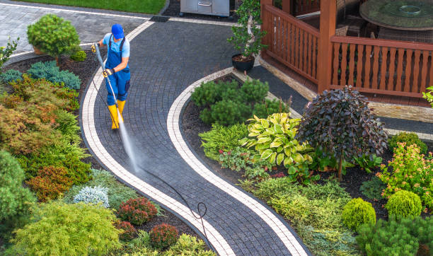 Best Pressure Washing Company Near Me  in Reese, MI